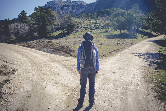 an image of a man standing in the middle of a dirt path that splits into two paths with a mountain in the background